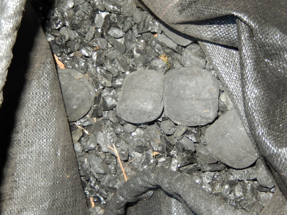Coal black bag of coal