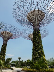 Wood ornament landscape