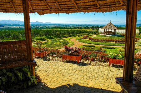 Plateau orange grove beautiful panoramic view