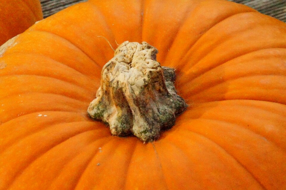 Bright autumn autumn decoration