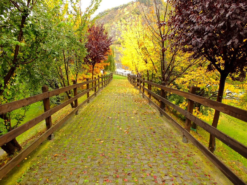 Gran paradiso national park autumn
