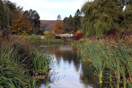 Water pond bridge photo