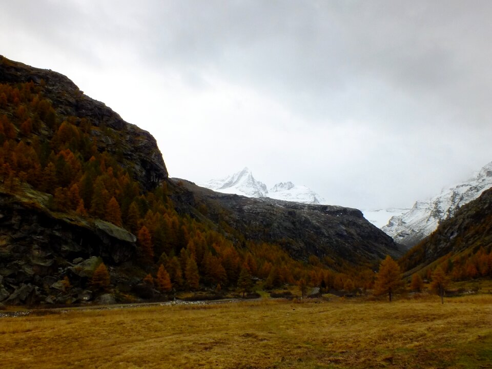 Gran paradiso national park autumn