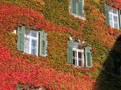 Climb building facade
