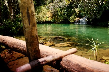 Green lagoon trinidad