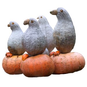 Ludwigsburg germany art birds
