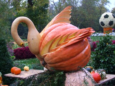 Swan from pumpkin blühendes baroque ludwigsburg germany