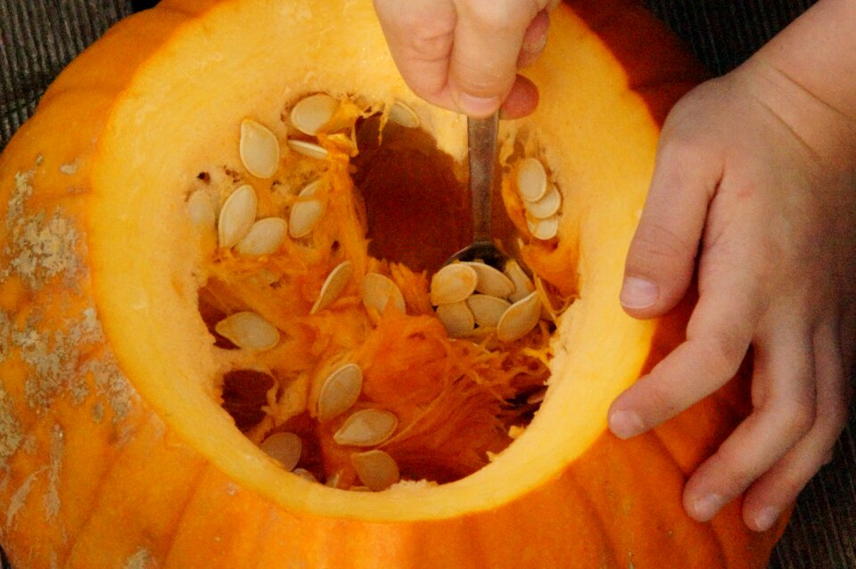 Bright autumn autumn decoration