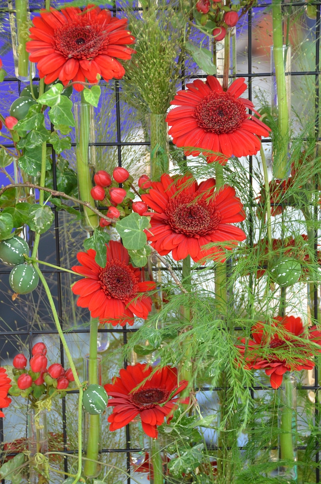 Japanese flora floristisch