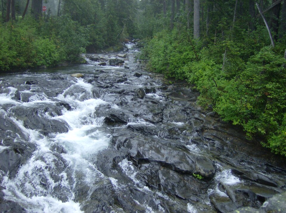 Washington state landscape