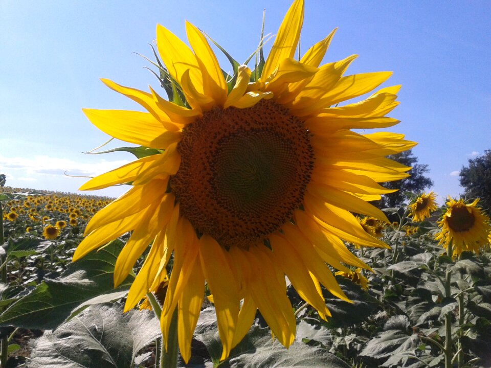 Sky sun landscape