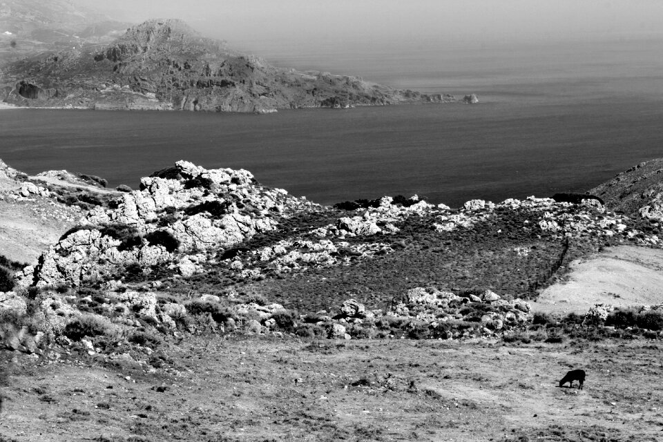 Seaside crete black and white