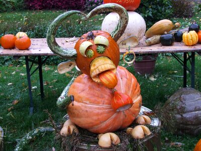 Blühendes baroque ludwigsburg germany pumpkin cow