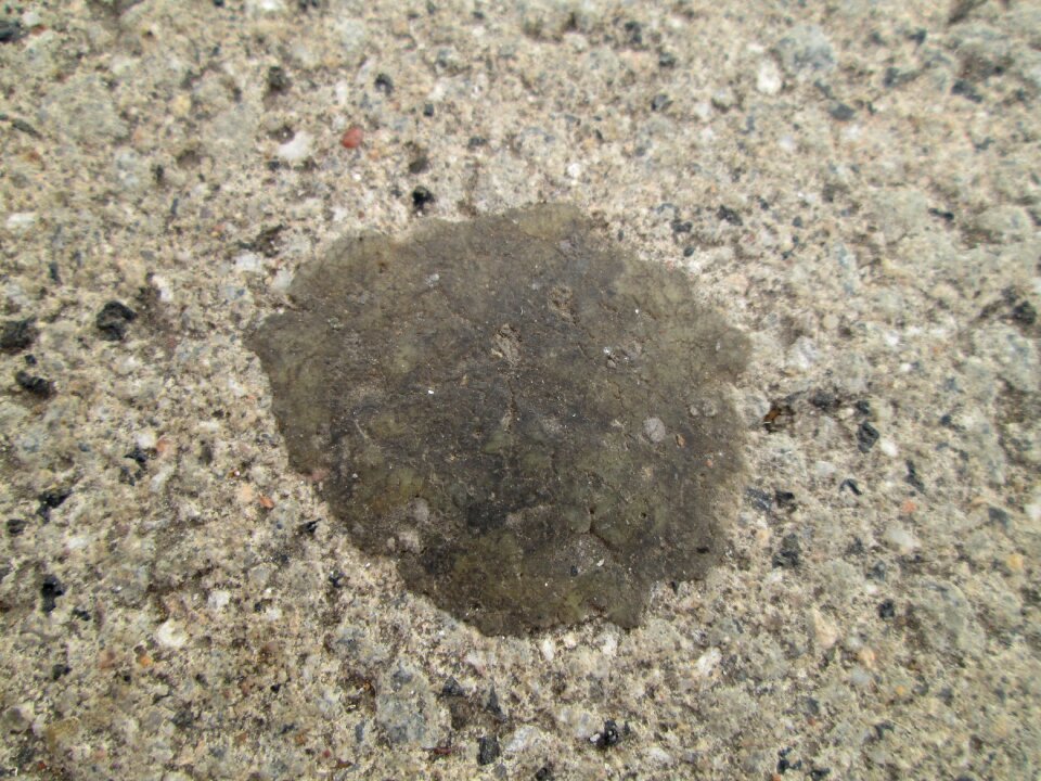 Road dirt chewing gum