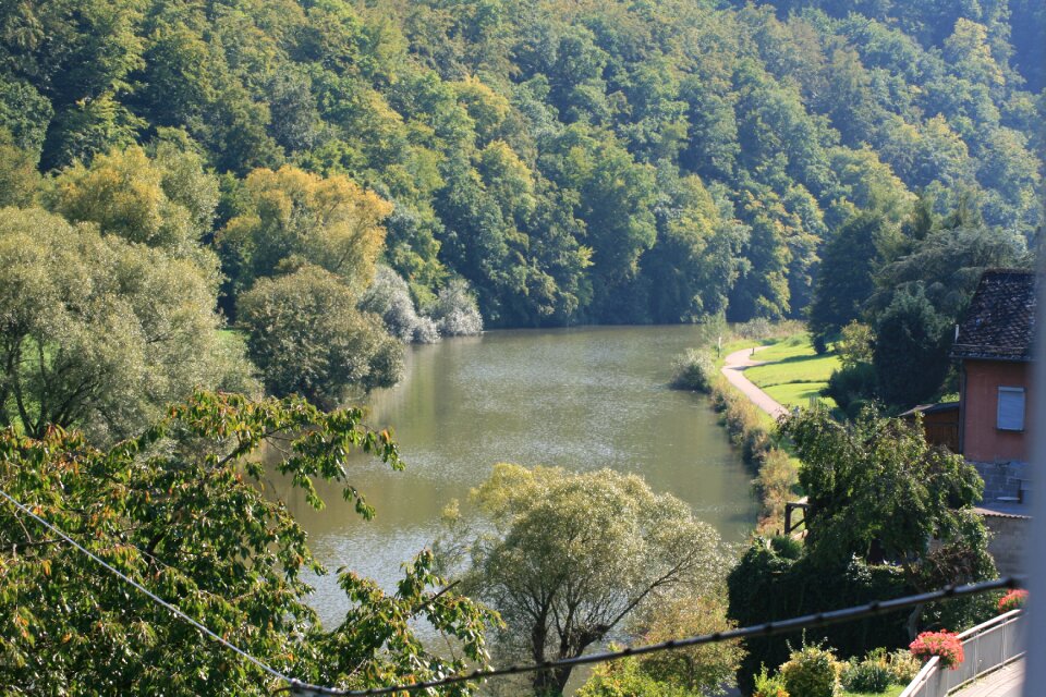 Waters trees aue