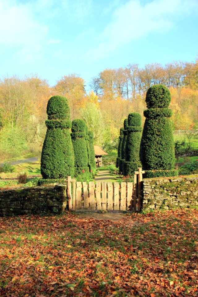 Garden gate fence boxwood