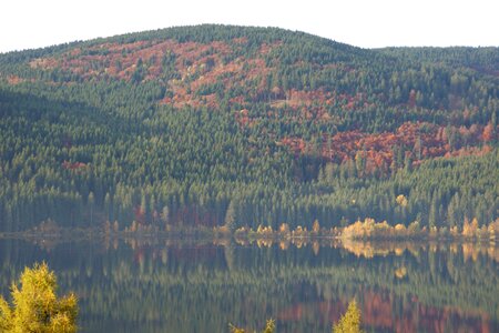 Black forest schluchsee mirror image