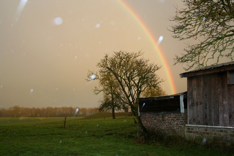 Rain nature belgium