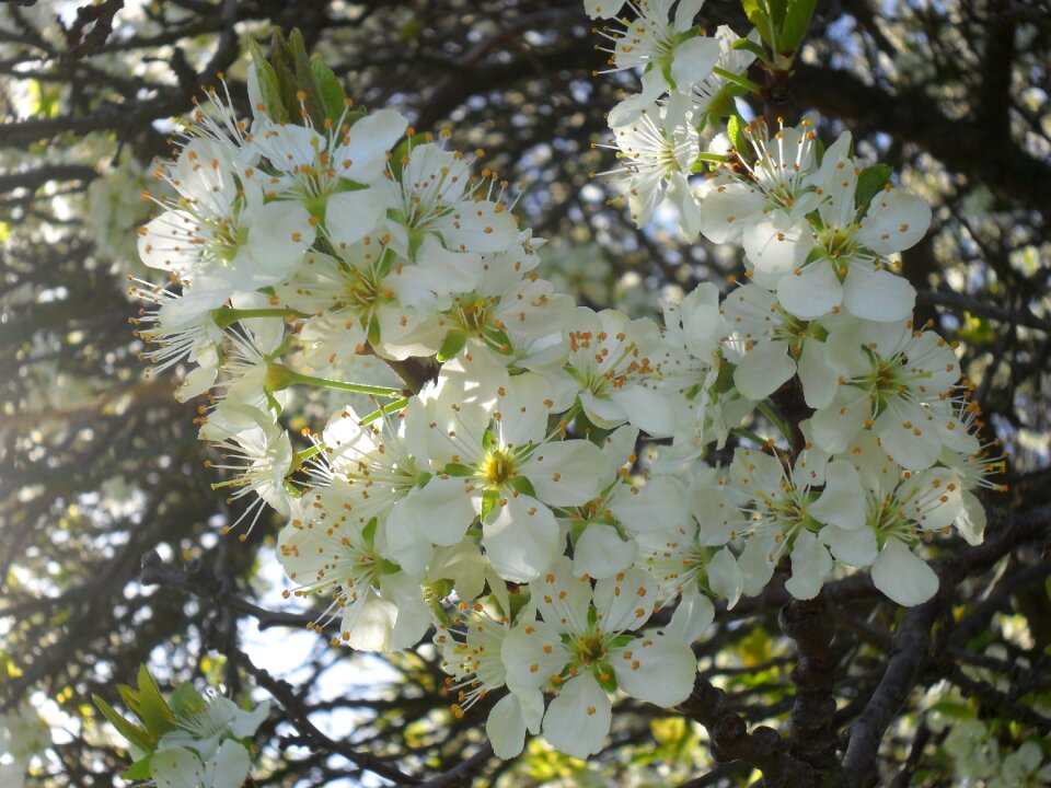 Spring sunshine sunbeam