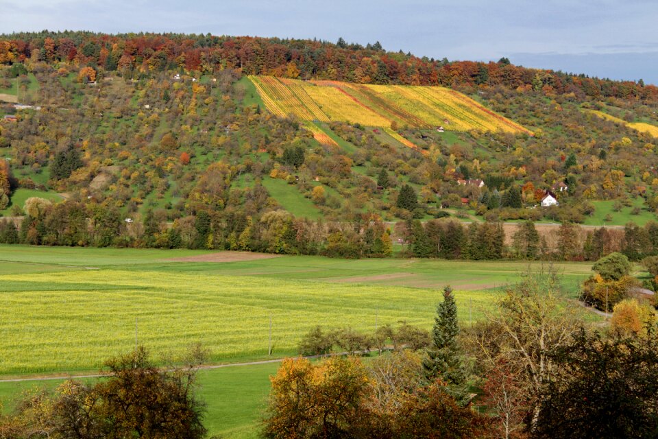 Out season nature