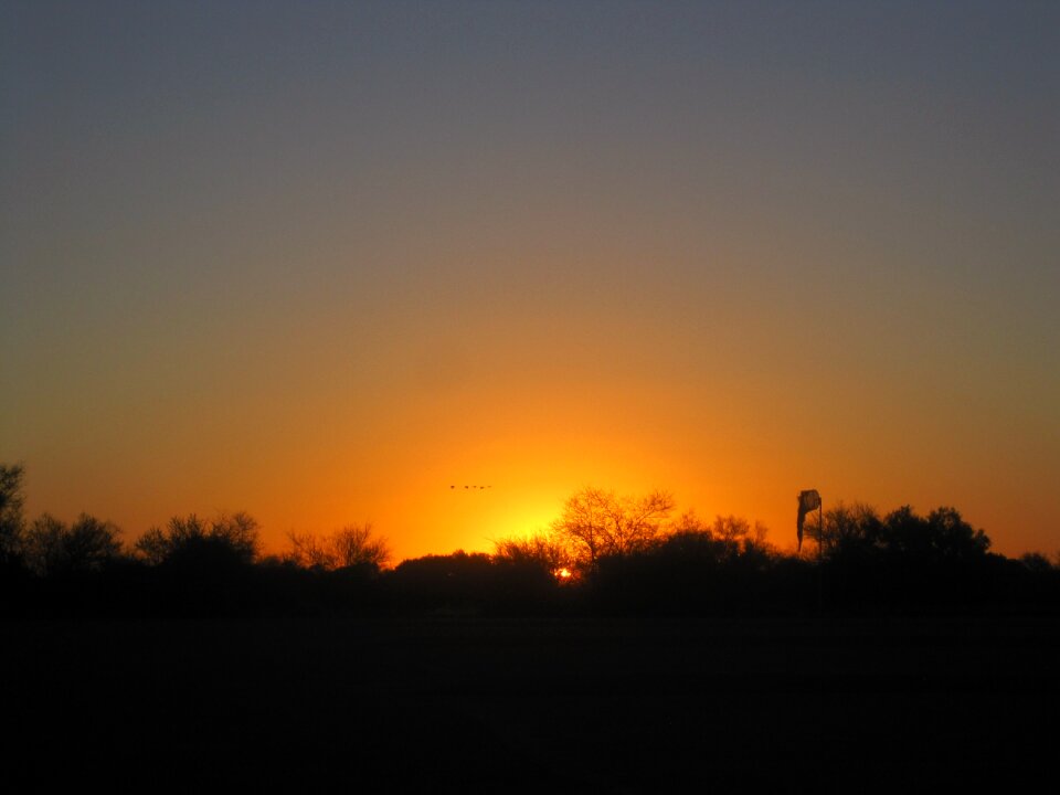 Orange glow diffuse photo