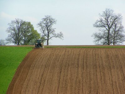 Belgium field furrow photo