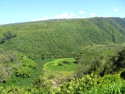 Forest woods outside