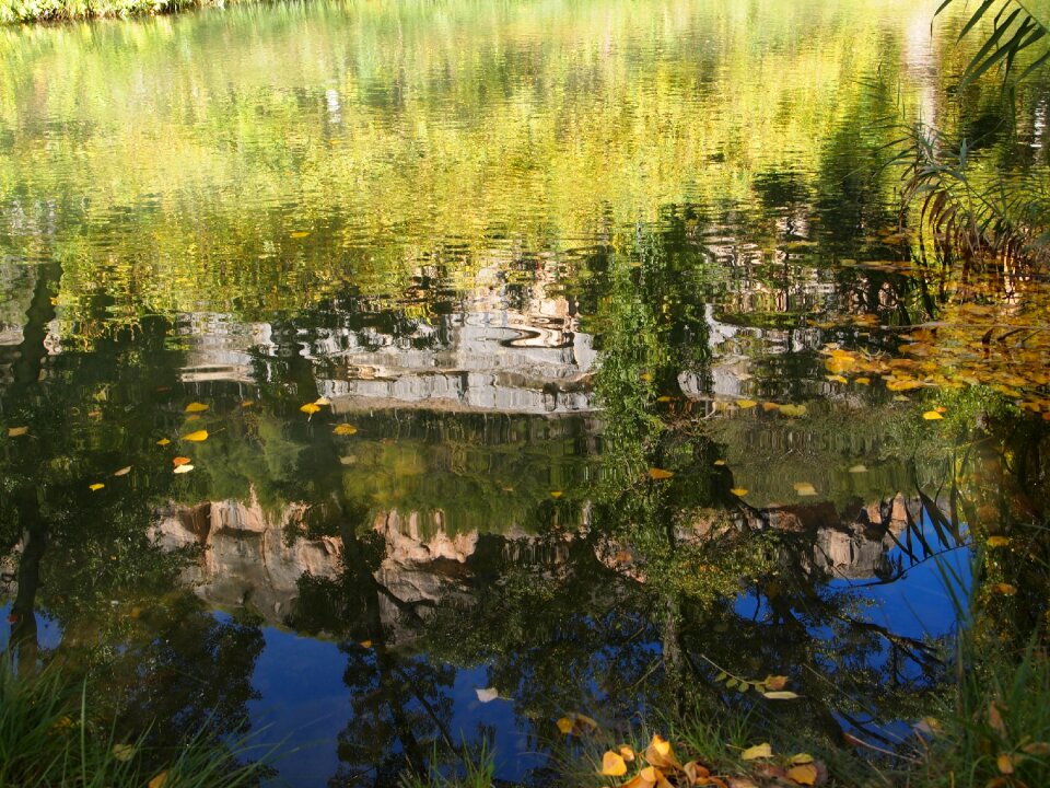 Trees water stones