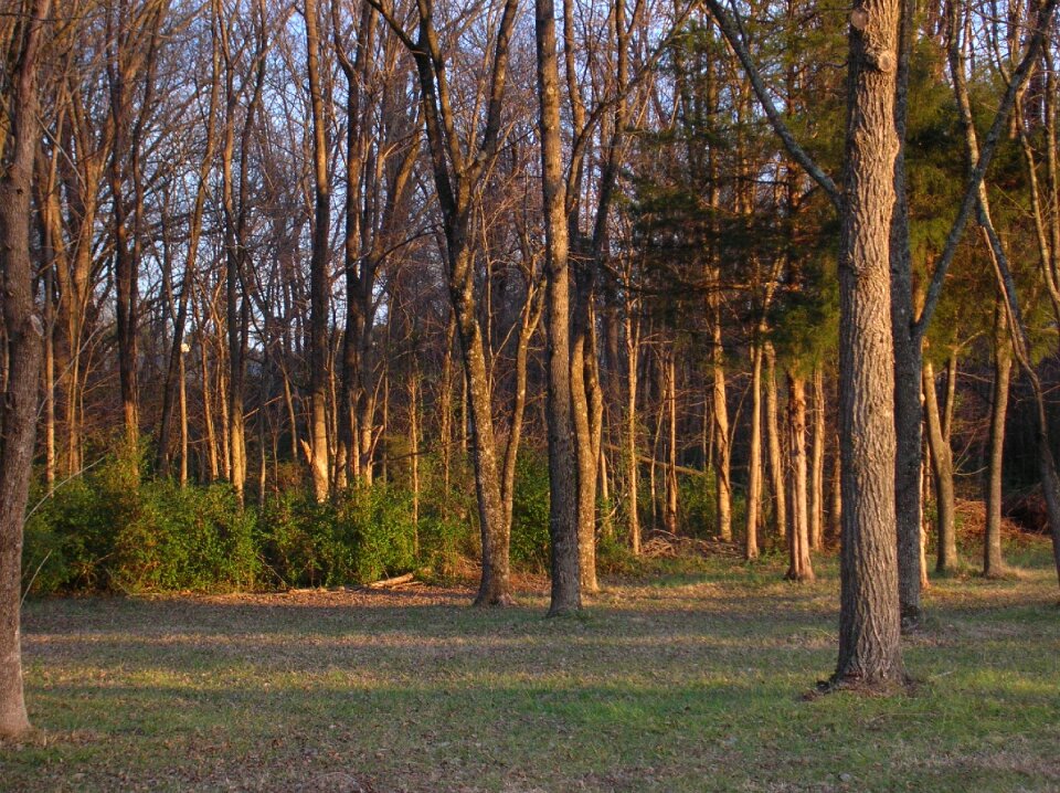 Landscape sunset fall