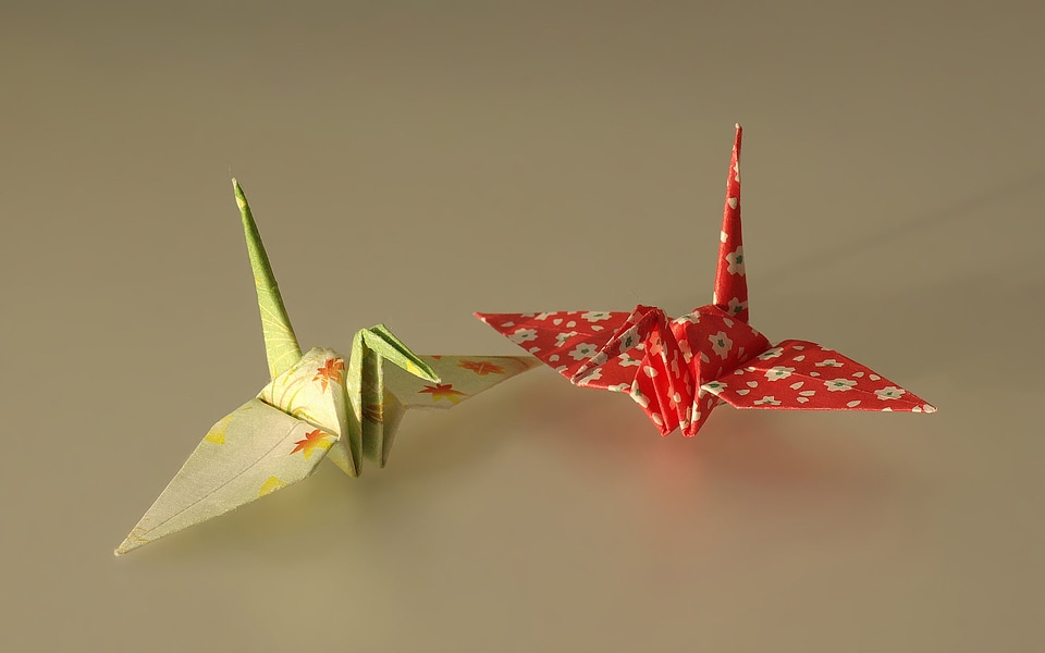 Paper folds tinker birds