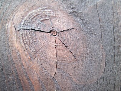 Craft brown stained