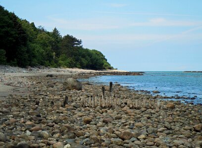 Baltic sea coast beach photo