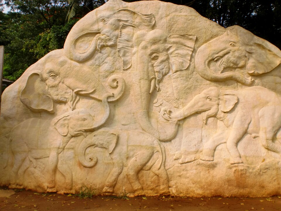 Sculpture sri lanka pinnawala