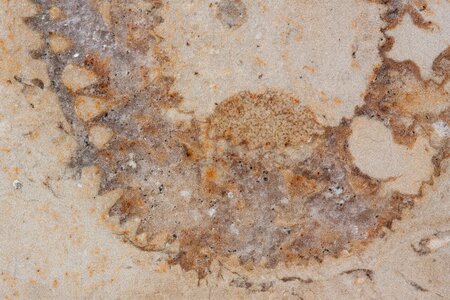 Solnhofen limestone slabs limestone jura