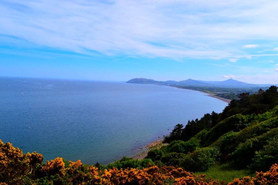 Gorse sky sea