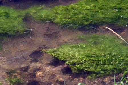 Water movement water nature