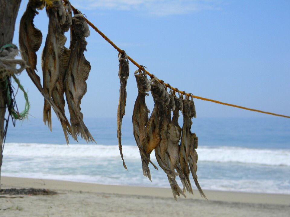 Drying sun food