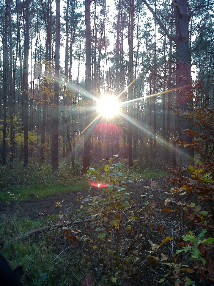Autumn light twilight