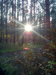 Autumn light twilight photo