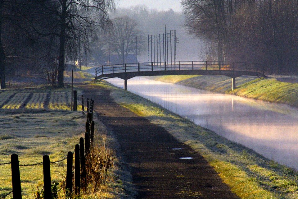 Bridge path nature