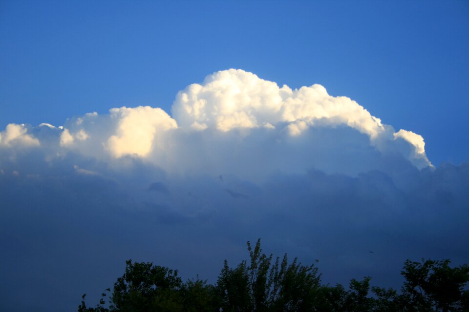 Large heavy shadowed