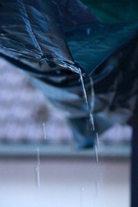 Rain drop nature photo