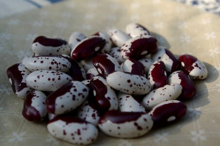 Harvest red white vegetables