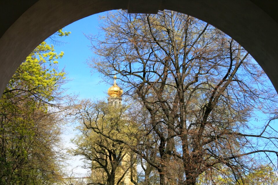 Opening trees cupola