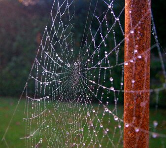 Drip sparkle autumn