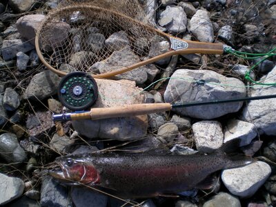 Fishing-rod fish angling photo