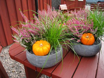 Grass heather house