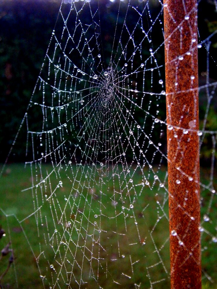 Drip sparkle autumn