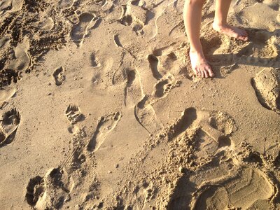 Beach toes foot photo