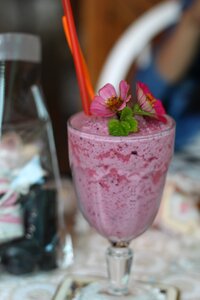 Drinks blueberry cup
